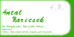 antal maricsek business card